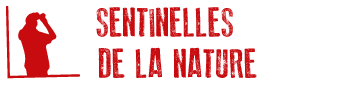 logo_sentinelles_nature-fne